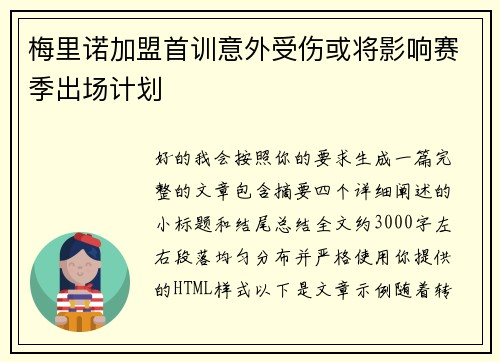 梅里诺加盟首训意外受伤或将影响赛季出场计划