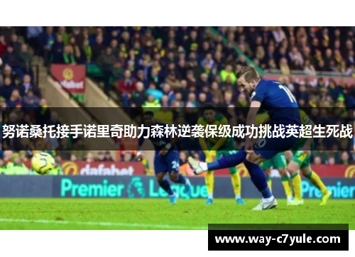 努诺桑托接手诺里奇助力森林逆袭保级成功挑战英超生死战 努诺桑托接手诺里奇助力森林逆袭保级成功挑战英超生死战